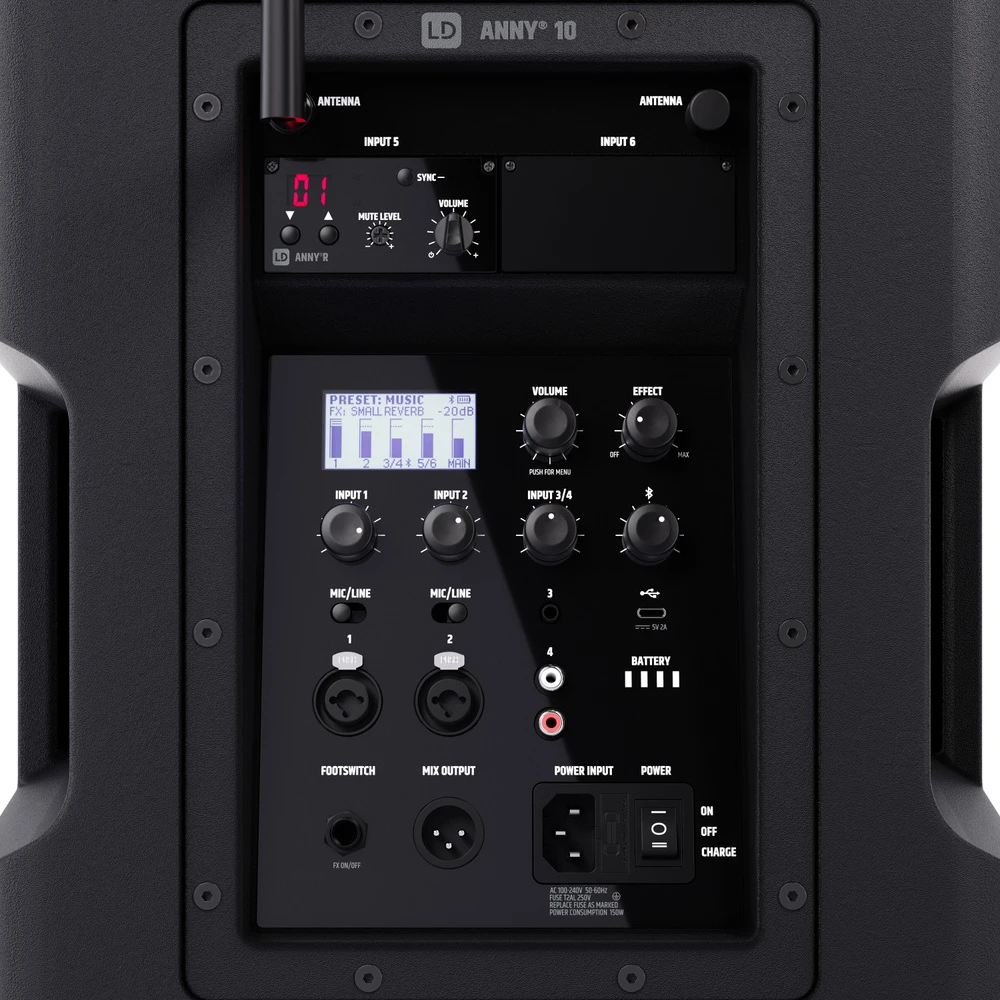 LD-Systems Anny-10-BPH2-B5