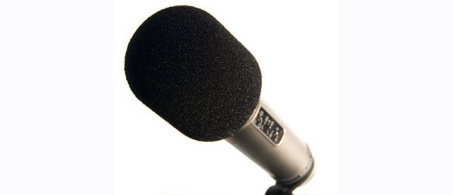 Rode WS-2 Windschutz für Broadcaster,...