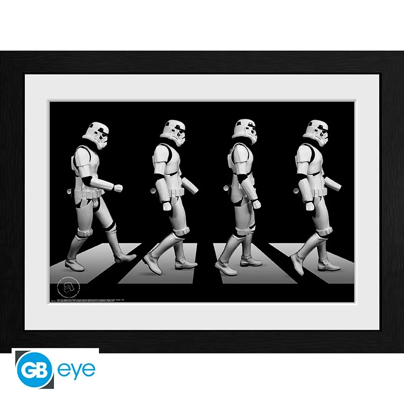 Stormtrooper - Druck Crossing (30x40)