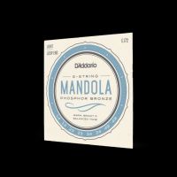 D´Addario EJ72 14-49 Mandola
