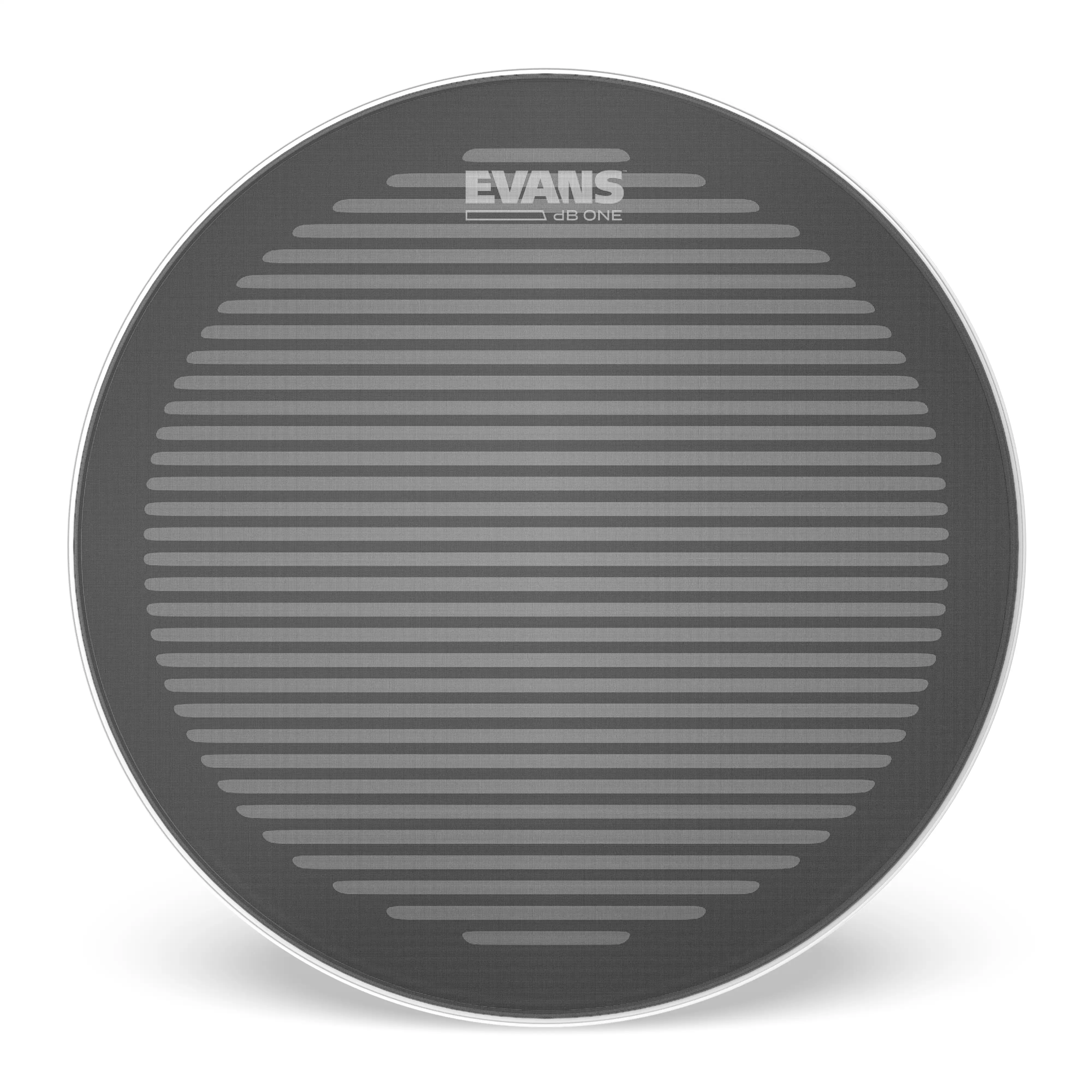 Evans dB One 14