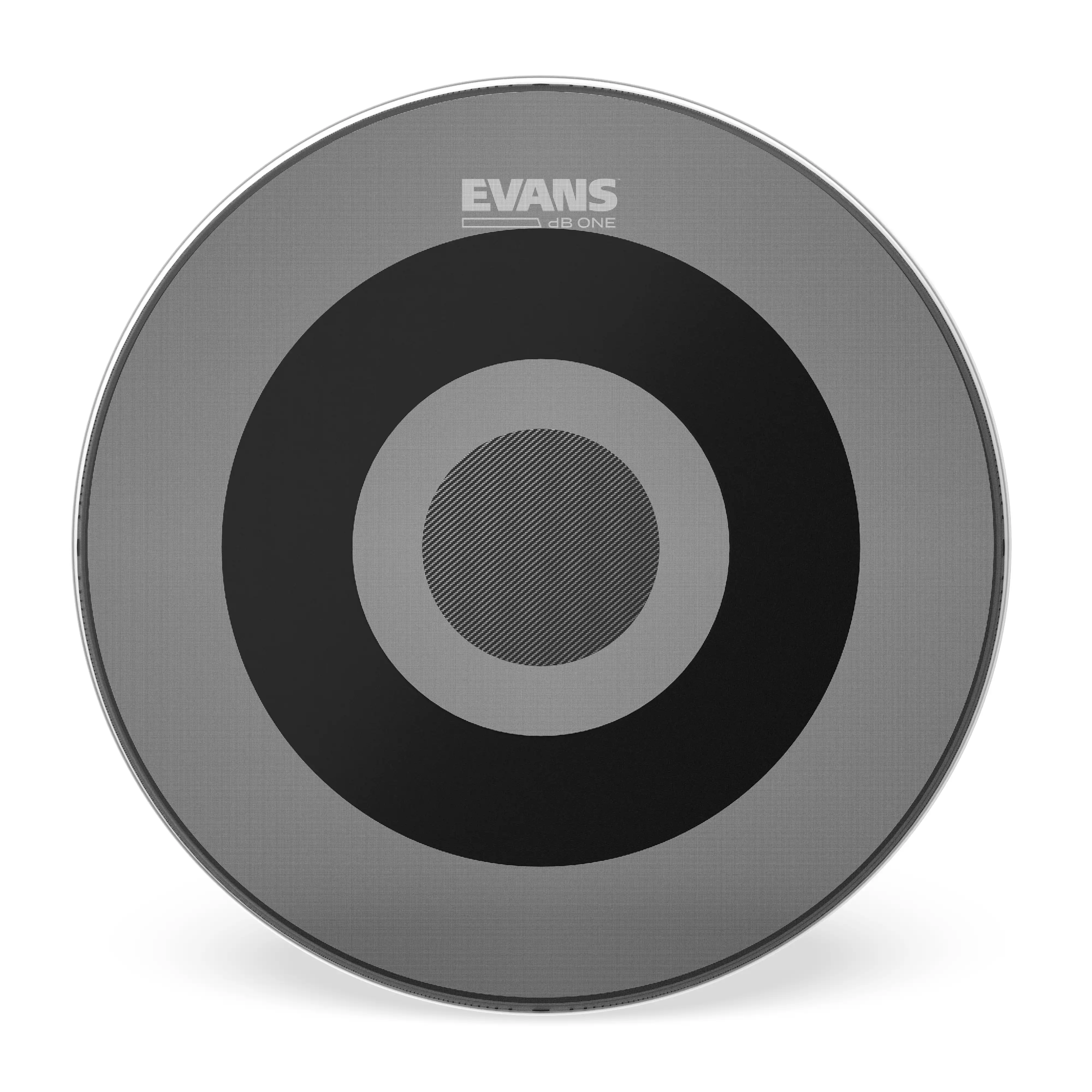Evans dB One 22