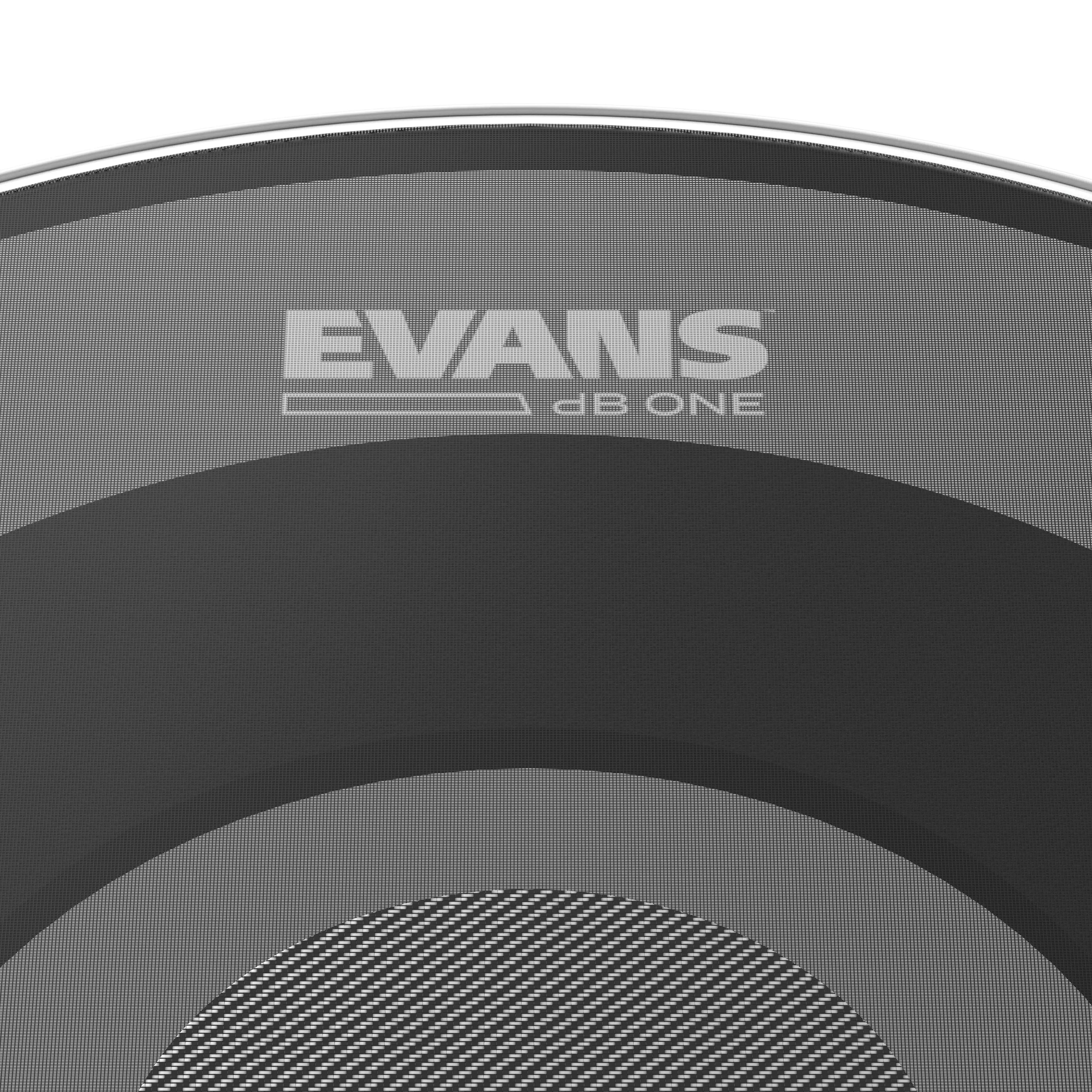 Evans dB One 22