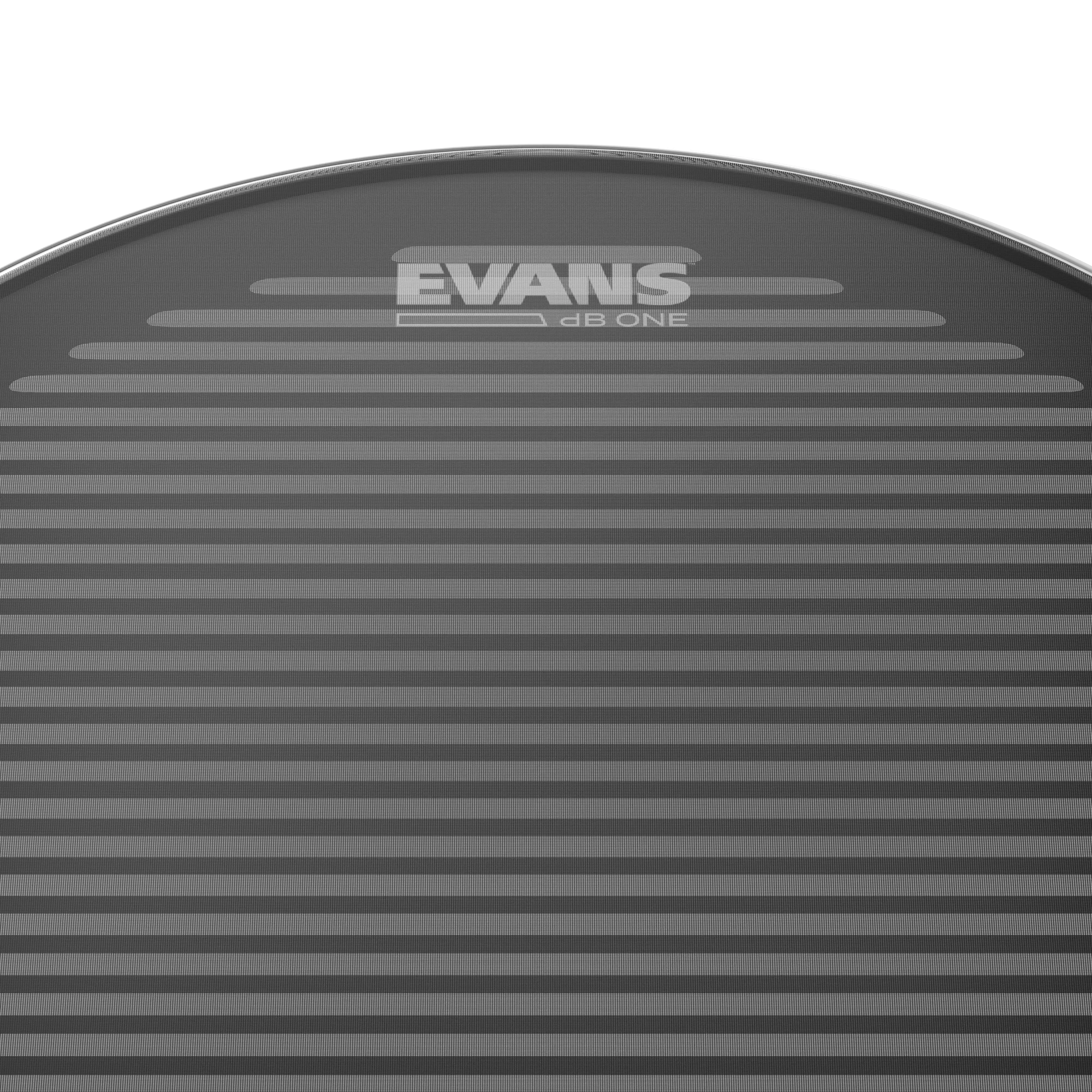 Evans dB One 13
