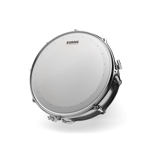 Evans Genera Dry 12