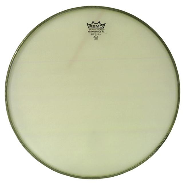 Remo Ambassador Renaissance 14