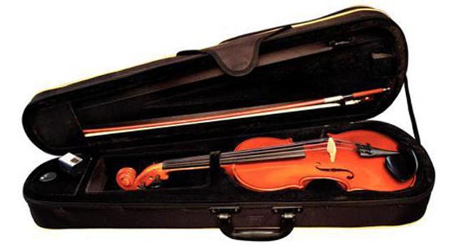 Gewa Set Allegro, Violingarnitur 3/4