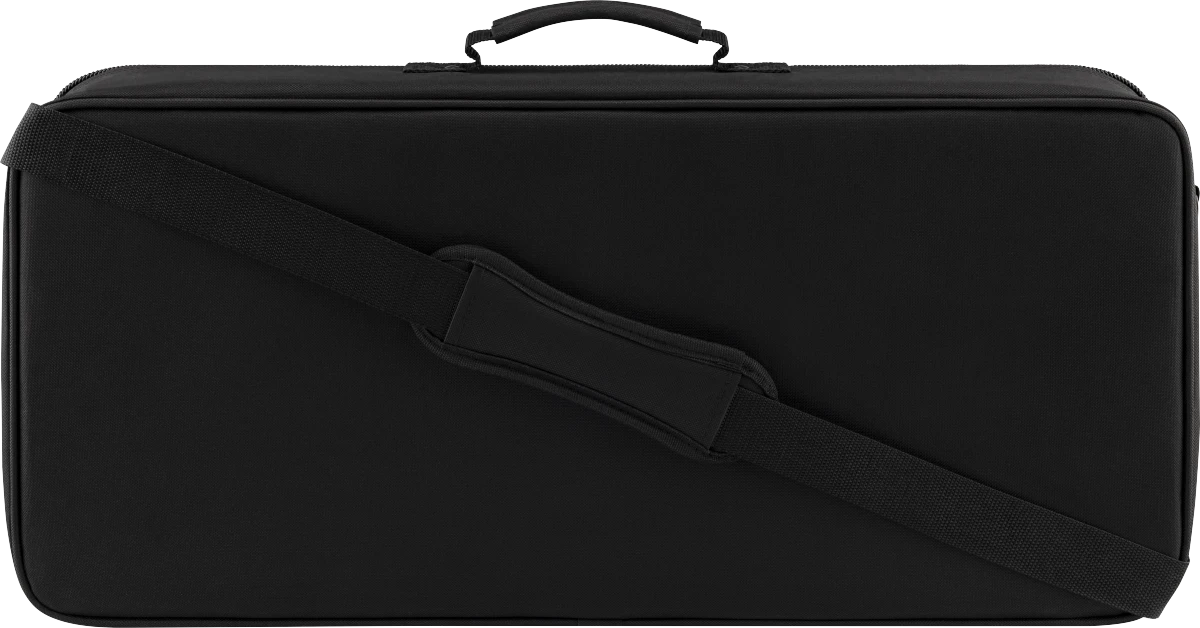 Fender Tone Master Pro Gigbag