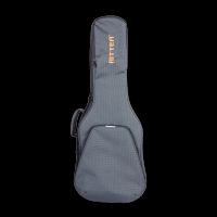 Ritter Retro 3 E-Gitarre misty grey