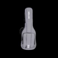 xgeg Ritter Arosa Deluxe E-Gitarre titanium