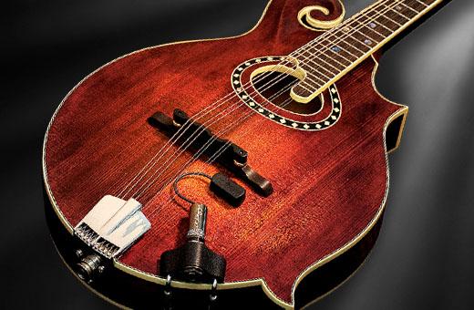 LR Baggs RADIUSM PU Mandoline