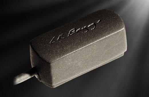 LR Baggs RADIUSM PU Mandoline