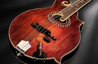 LR Baggs RADIUSM PU Mandoline