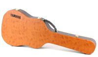 Yamaha APX-Koffer