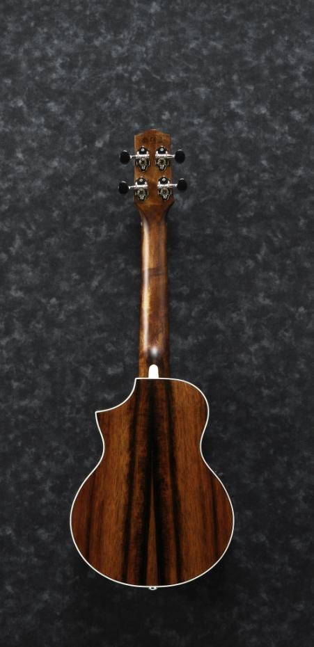 Ibanez UEW13MEE-DBO