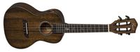 Kai KCI-100G-BK Concert