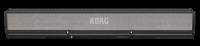 Korg PaAS MK2 Soundsystem