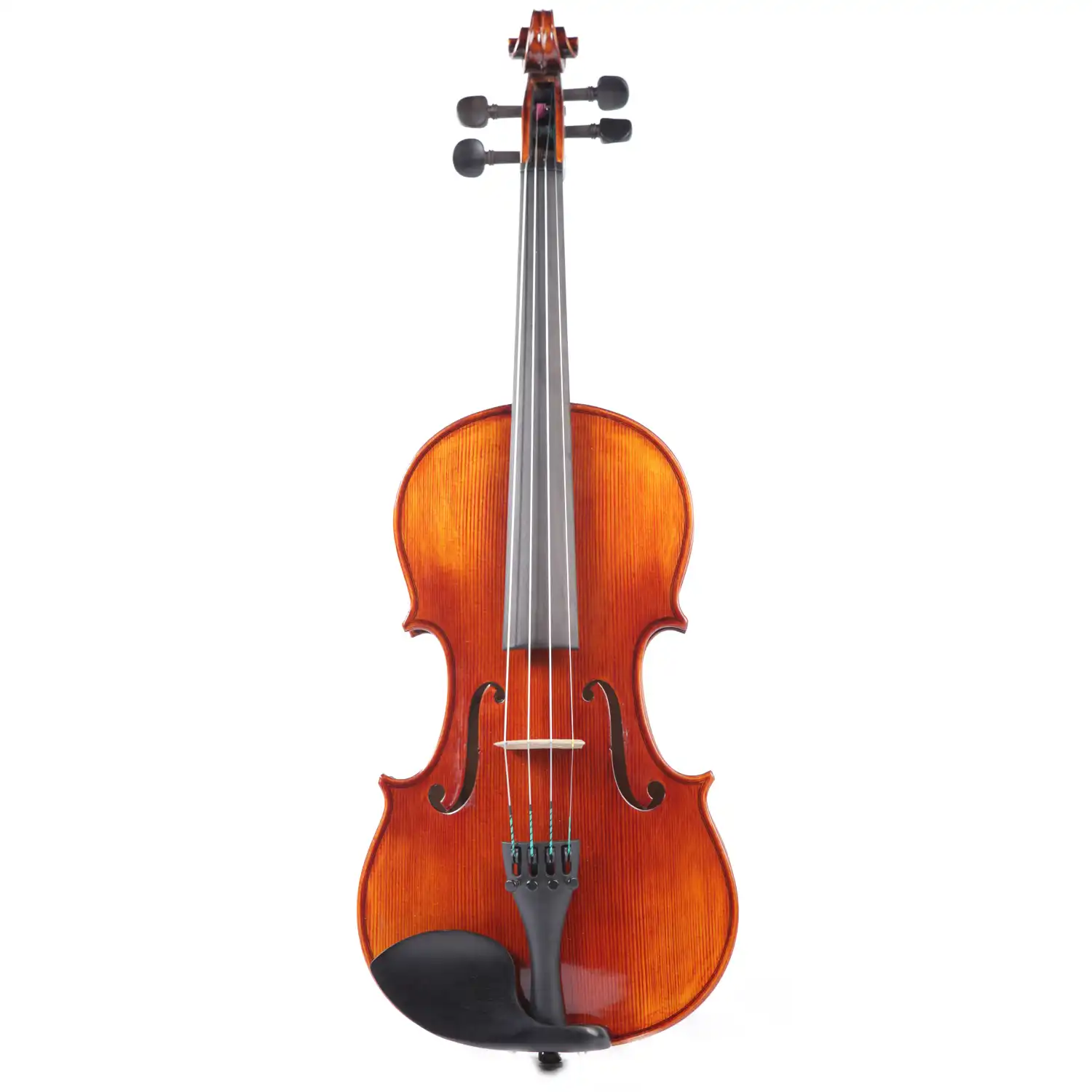 Violine