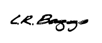 LR Baggs